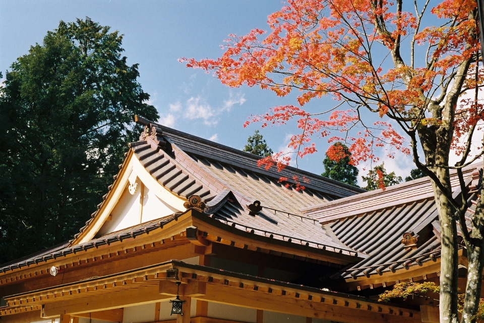 Temple