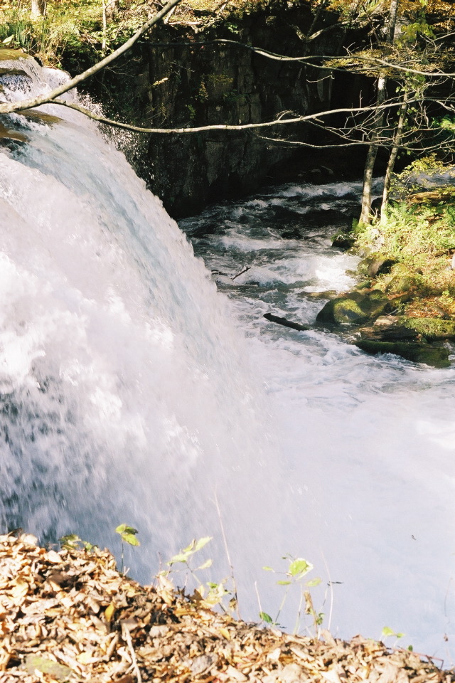 Waterfall on Oirase