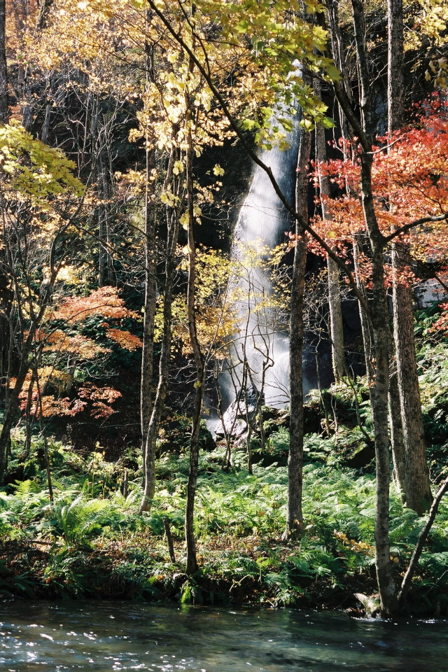 Oirase waterfall