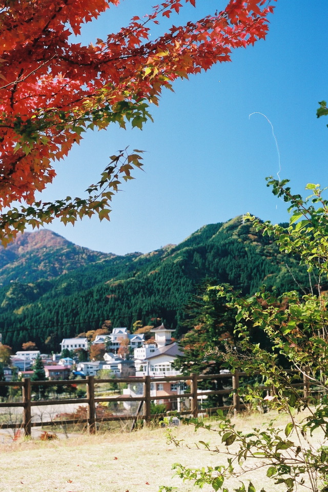 View from Nikko YH