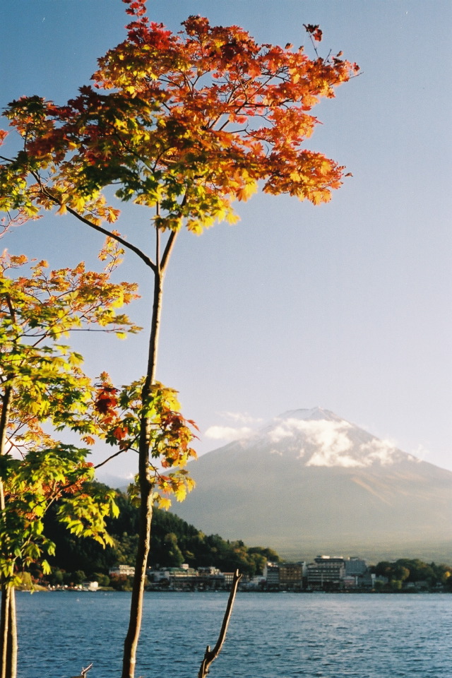Mt Fuji