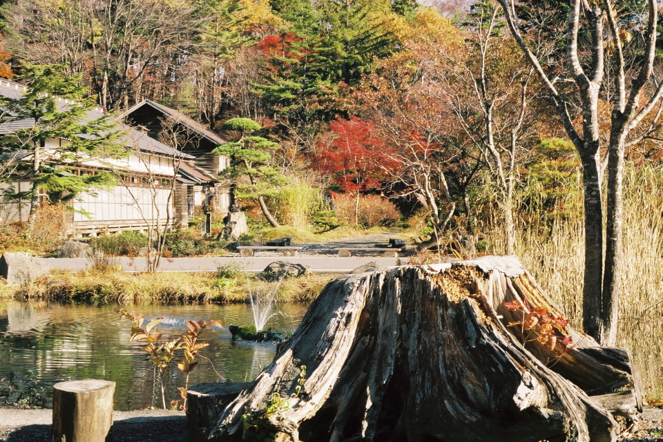 Tsuta onsen