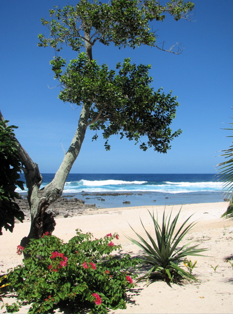 South Pacific beach