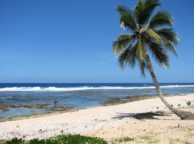 Fisherman on reef