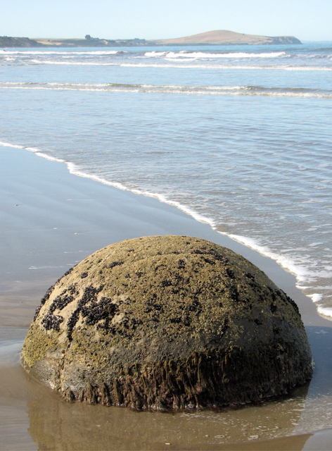 A Moeraki boulder