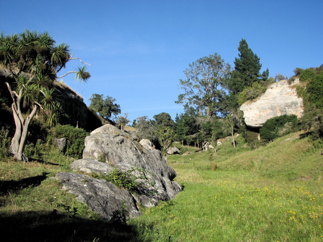 Dry valley near Opihi River