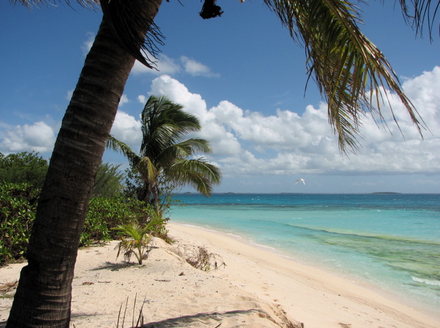 "Paul's island"